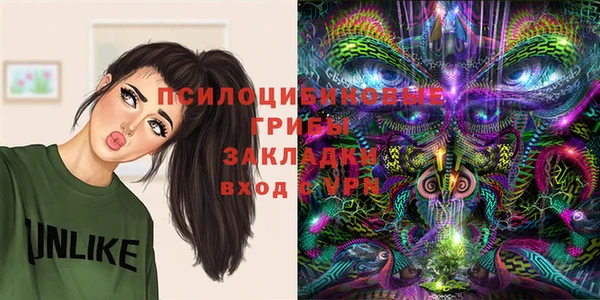 мет Арсеньев