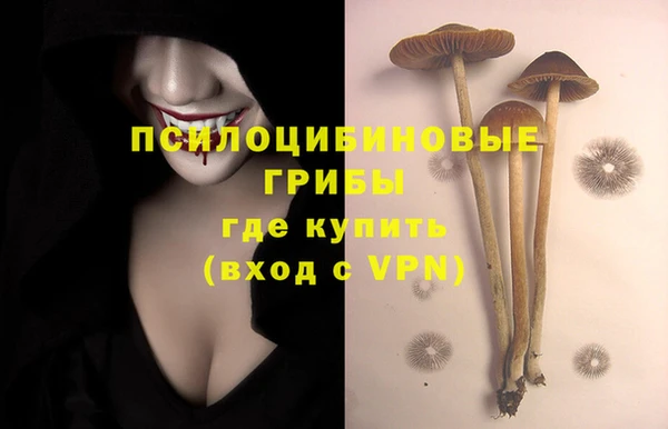 мет Арсеньев