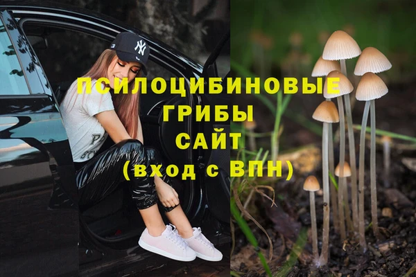 метадон Армянск