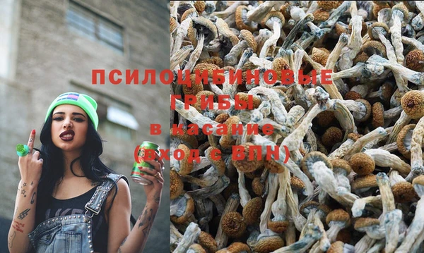 прущий лед Аркадак