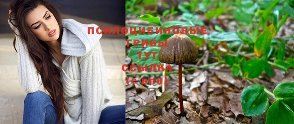 мет Арсеньев