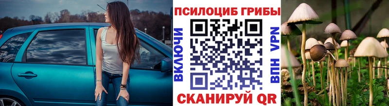 где найти   Билибино  Галлюциногенные грибы Psilocybine cubensis 